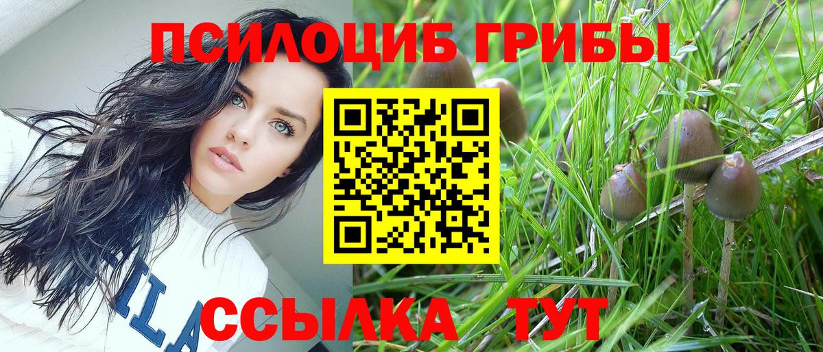 Псилоцибиновые грибы GOLDEN TEACHER Саянск